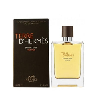 Hermes Terre d'hermes eau vetiver 100ml EDT